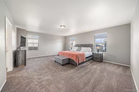1819 Hydrangea Dr, Windsor, CO 80550 photo 17