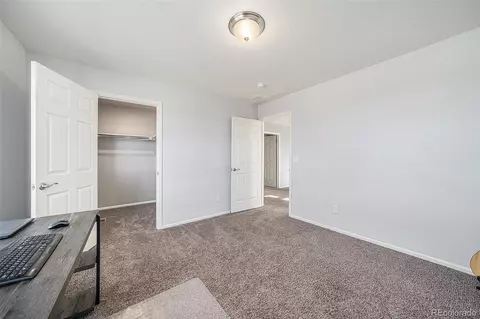 1819 Hydrangea Dr, Windsor, CO 80550 photo 22