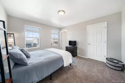 1819 Hydrangea Dr, Windsor, CO 80550 photo 23