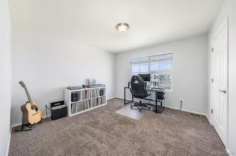 1819 Hydrangea Dr, Windsor, CO 80550 photo 21