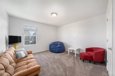 1819 Hydrangea Dr, Windsor, CO 80550 photo 26