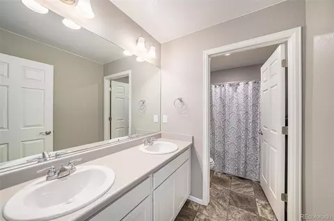 1819 Hydrangea Dr, Windsor, CO 80550 photo 28