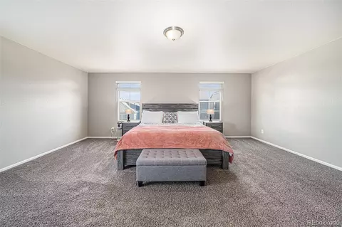 1819 Hydrangea Dr, Windsor, CO 80550 photo 16