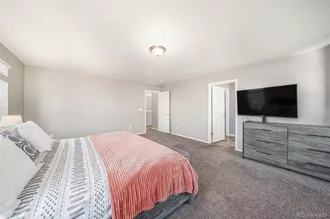 1819 Hydrangea Dr, Windsor, CO 80550 photo 18