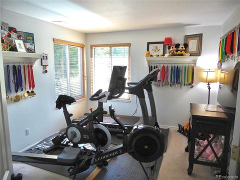 1663 Marsh Hawk Cir, Castle Rock, CO 80109 photo 5