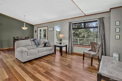 Living - 71 Columbine Dr, Bailey, CO 80421 photo 2 of 3