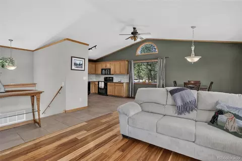 Living - 71 Columbine Dr, Bailey, CO 80421 photo 3 of 3