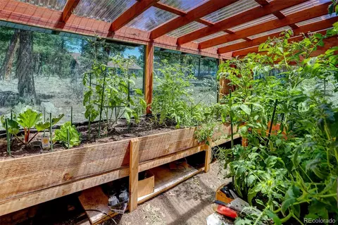 Other - 71 Columbine Dr, Bailey, CO 80421 photo 12 of 12