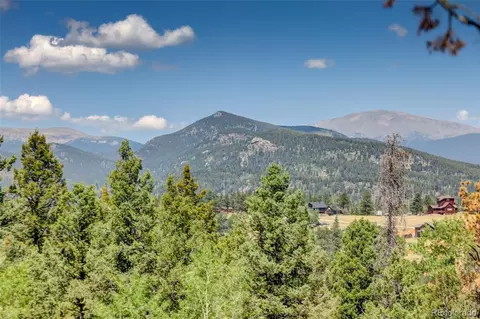 Other - 71 Columbine Dr, Bailey, CO 80421 photo 9 of 12