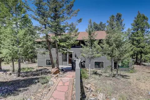Exterior - 71 Columbine Dr, Bailey, CO 80421 photo 3 of 7