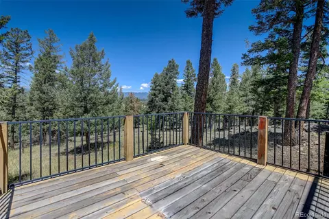 Exterior - 71 Columbine Dr, Bailey, CO 80421 photo 6 of 7