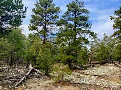 Mill Run Road, Mosca, CO 81146