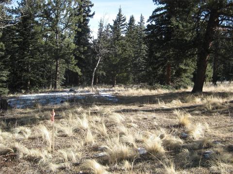 124 Spring Cir, Pine, CO 80470 photo 1