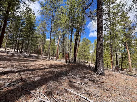 1013 Sequoia Dr, Twin Lakes, CO 81251
