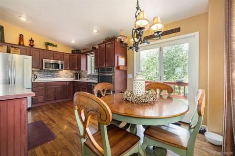 347 Saddlestring Rd, Bailey, CO 80421 photo 9