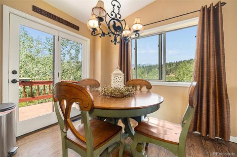 347 Saddlestring Rd, Bailey, CO 80421 photo 6