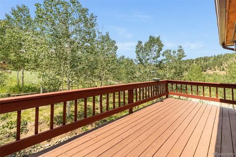 347 Saddlestring Rd, Bailey, CO 80421 photo 22