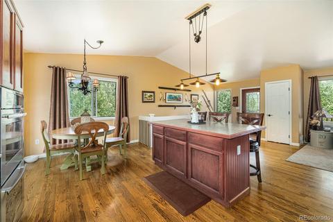 347 Saddlestring Rd, Bailey, CO 80421 photo 12