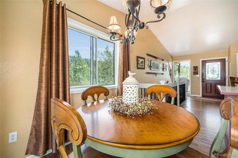347 Saddlestring Rd, Bailey, CO 80421 photo 7