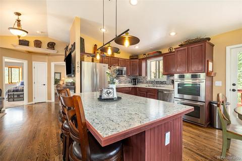 347 Saddlestring Rd, Bailey, CO 80421 photo 10