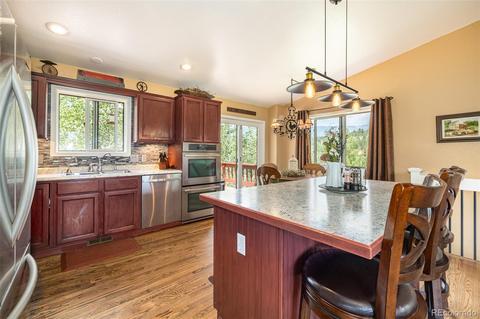 347 Saddlestring Rd, Bailey, CO 80421 photo 11