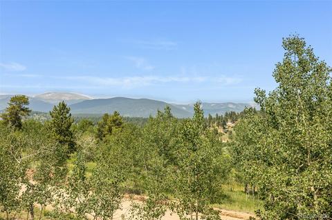 347 Saddlestring Rd, Bailey, CO 80421 photo 23