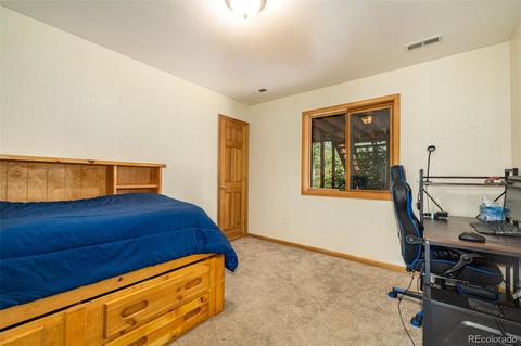 347 Saddlestring Rd, Bailey, CO 80421 photo 21