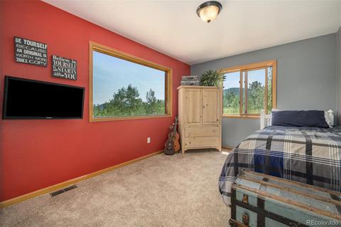 347 Saddlestring Rd, Bailey, CO 80421 photo 15
