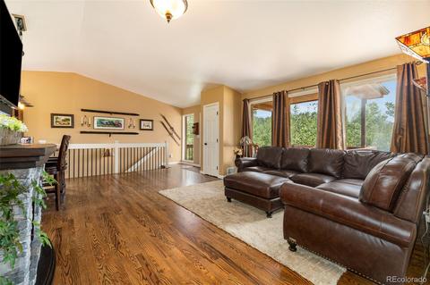 347 Saddlestring Rd, Bailey, CO 80421 photo 4
