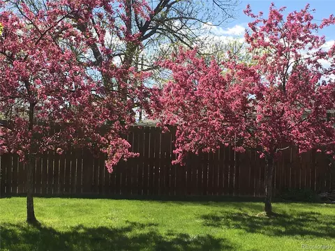 Exterior - 7474 Broadview Dr, Denver, CO 80214 photo 11 of 13