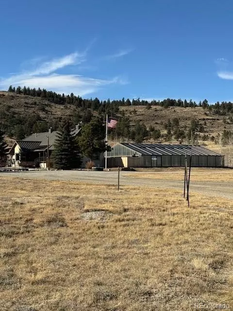 186 Lantern Loop, Hartsel, CO 80449 photo 8