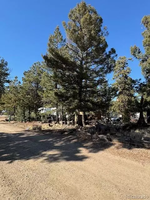 186 Lantern Loop, Hartsel, CO 80449 photo 3