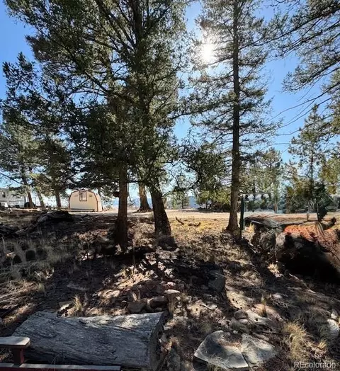 186 Lantern Loop, Hartsel, CO 80449 photo 2