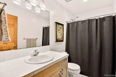 Bath - 203 Valley View Ln, Pine, CO 80470 photo 4 of 4