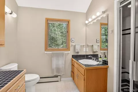 Bath - 203 Valley View Ln, Pine, CO 80470 photo 3 of 4