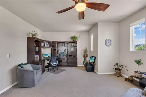11232 Ebony St, Longmont, CO 80504 photo 33