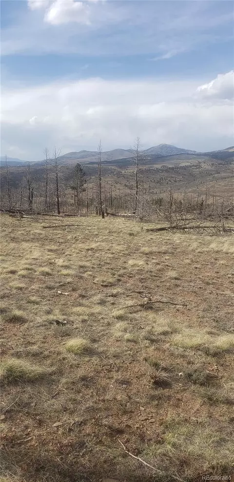 lot321 Hagin Ln, Fort Garland, CO 81133
