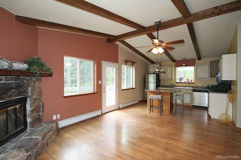 10005 Wind Dancer Way, Conifer, CO 80433 photo 2