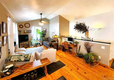 1113 Biddle St, Georgetown, CO 80444 photo 9