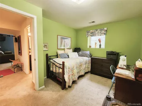 1113 Biddle St, Georgetown, CO 80444 photo 23