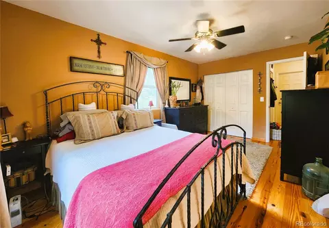 1113 Biddle St, Georgetown, CO 80444 photo 16