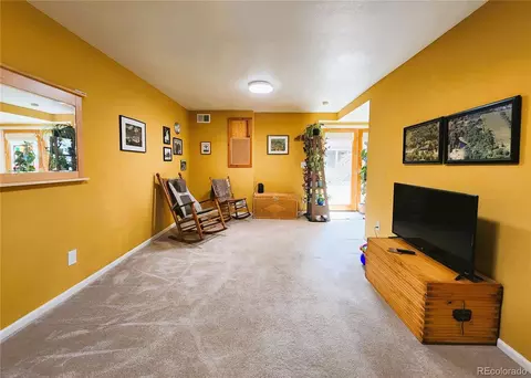 1113 Biddle St, Georgetown, CO 80444 photo 24
