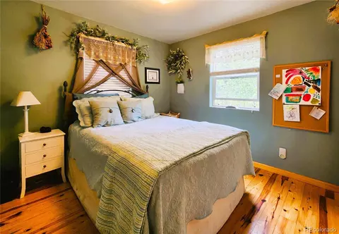 1113 Biddle St, Georgetown, CO 80444 photo 21