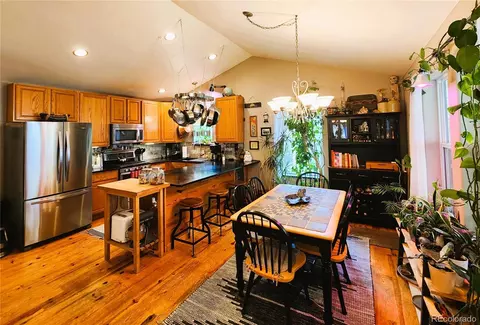 1113 Biddle St, Georgetown, CO 80444 photo 11
