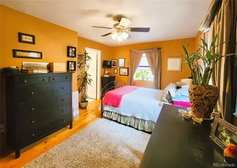1113 Biddle St, Georgetown, CO 80444 photo 20