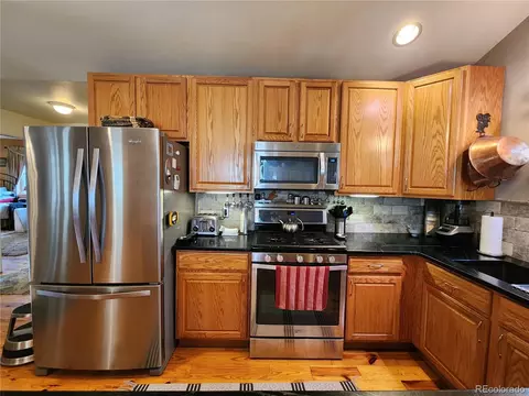 1113 Biddle St, Georgetown, CO 80444 photo 13