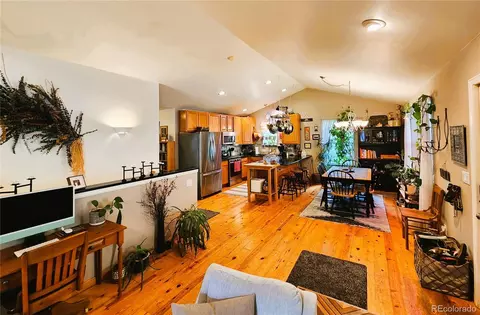 1113 Biddle St, Georgetown, CO 80444 photo 10