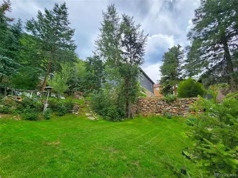 1113 Biddle St, Georgetown, CO 80444 photo 29