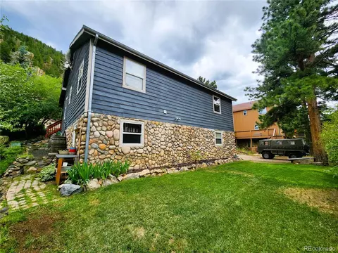 1113 Biddle St, Georgetown, CO 80444 photo 7