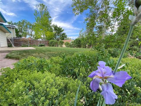 4530 S Braun Ct, Morrison, CO 80465 photo 28